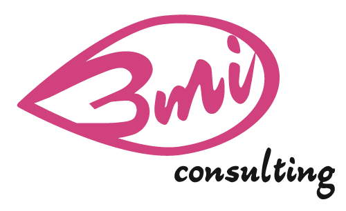 BMI Consulting